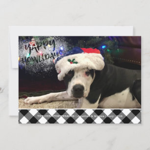 Dog Photo   YAPPY HOWLIDAYS   B&W Buffalo Check Holiday Card