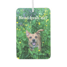 Dog Photography personalised Air Freshener
