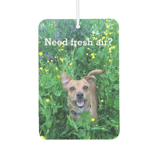Dog Photography personalized Air Freshener (Front)