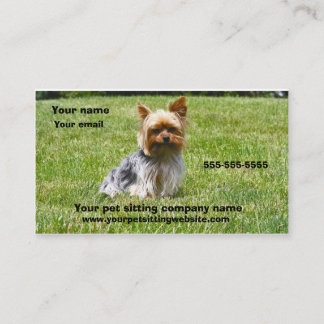 Dog photography pet care business card