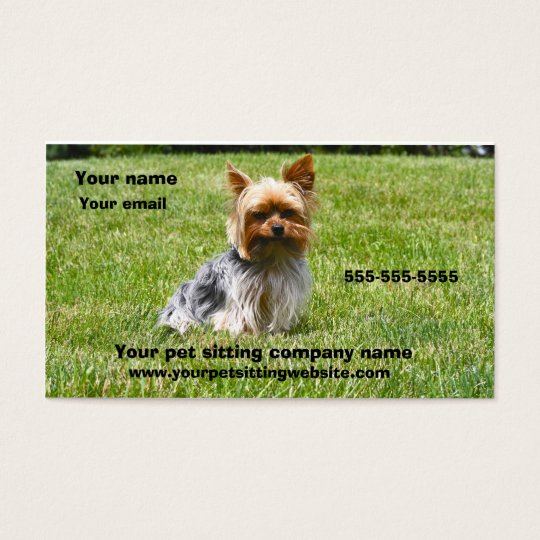 Dog photography pet care business card