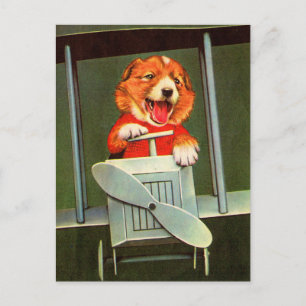 dog pilot postcard