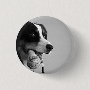 Dog Pin