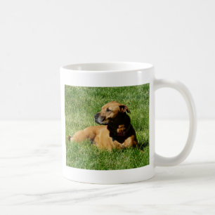 dog,pitbull/boxer mix coffee mug