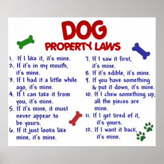 DOG PL2 POSTER
