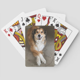 Dog Playing Cards