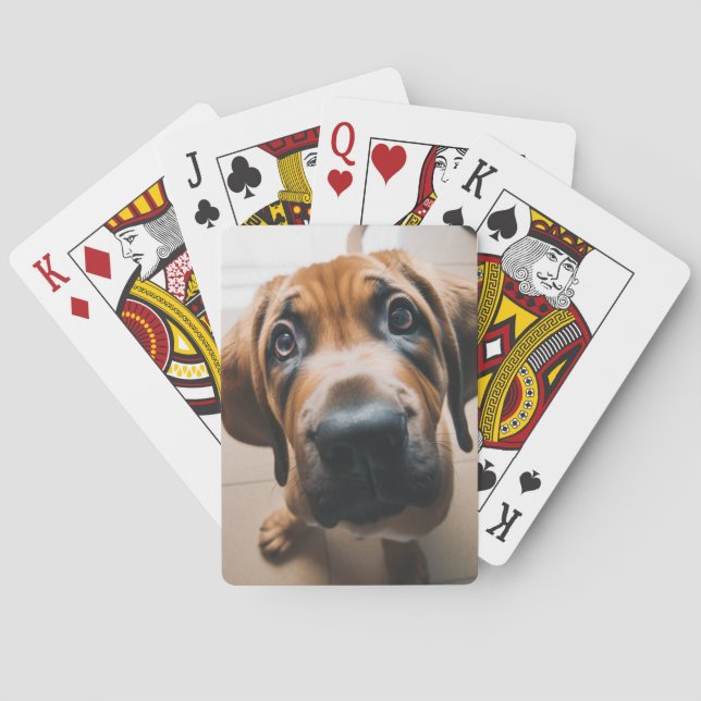 Dog Playing Cards (Back)