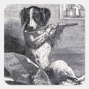 "Dog Playing the Flute" Vintage Illustration Square Sticker