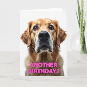 Dog Portrait Birthday Card