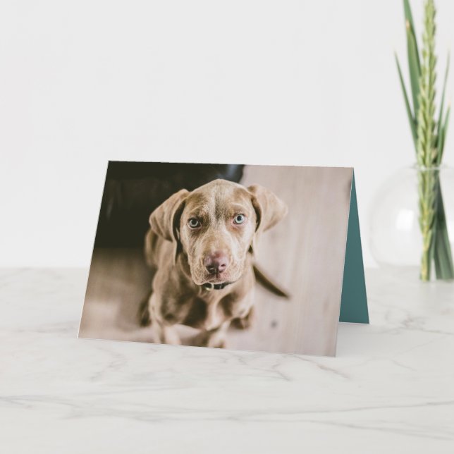 Dog portrait card (Front)