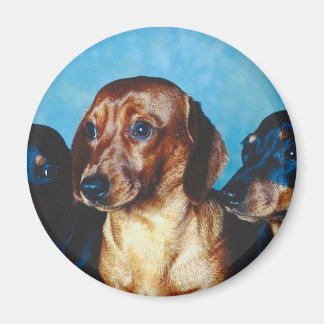 Dog Portrait Magnet