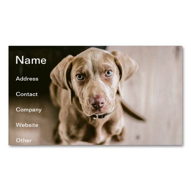 Dog portrait 	Magnetic business card (Front)