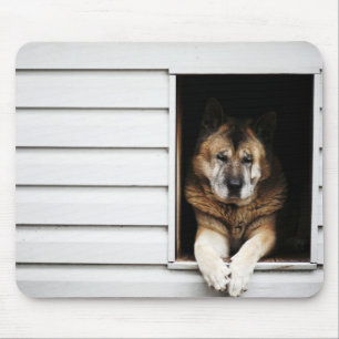 dog portrait mouse mat