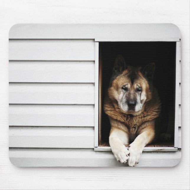 dog portrait mouse mat (Front)