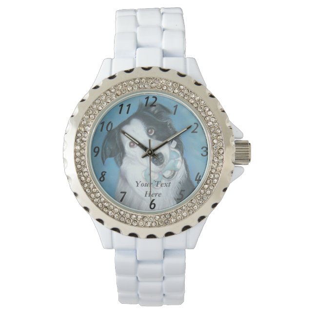 dog portrait of cute black and white border collie watch (Front)