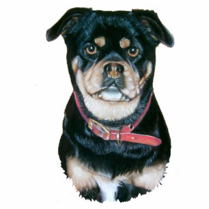 dog portrait painting of cute black and tan pug photo sculpture key ring