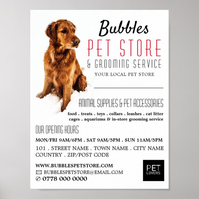 Dog Portrait, Pet Store & Groomers Advertising Poster (Front)