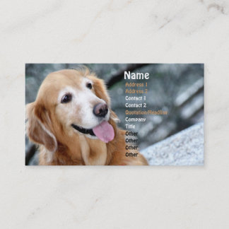 Dog Portrait/Smiling Golden Retriever Photography Business Card