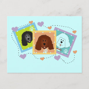 Dog Portraits Tshirts and Gifts Postcard