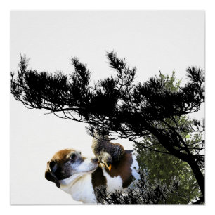 dog poster