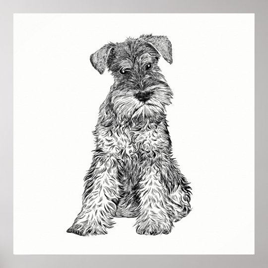 schnauzer wall art