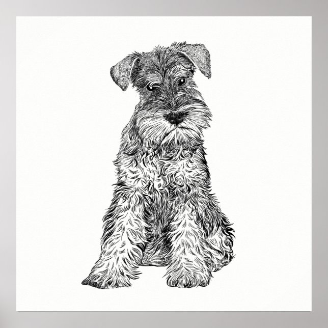 Dog Poster / Wall Art Schnauzer (Front)