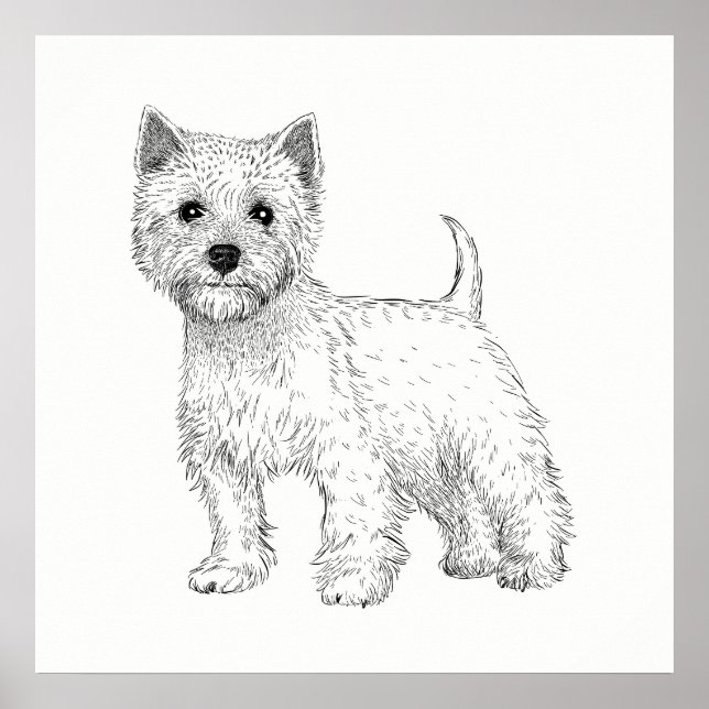 Dog Poster / Wall Art West Highland Terrier (Front)