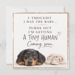 Dog Pregnancy Announcement Card