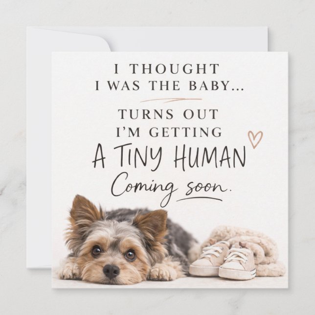 Dog Pregnancy Announcement Card (Front)