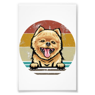 Dog Premium Satin Photo Paper Photo Enlargement