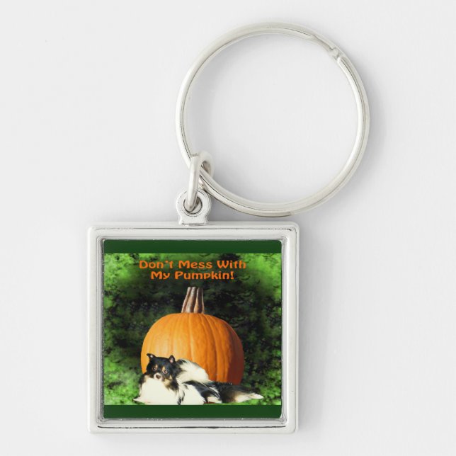 Dog Protecting Large Pumpkin Key Ring (Front)