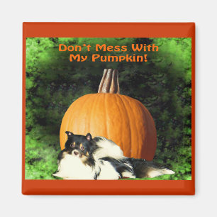 Dog Protecting Large Pumpkin Magnet