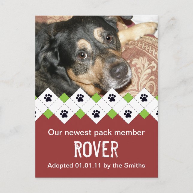 Dog/Puppy Adoption Announcement (Front)