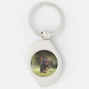 Dog, Puppy, Cavalier Key Ring
