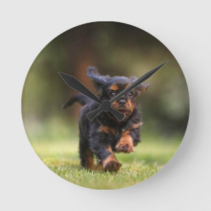 Dog, Puppy, Cavalier Round Clock