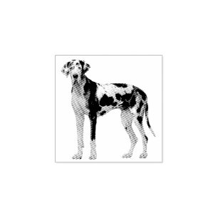 Dog Puppy Cutest Black White Great Dane Rubber Stamp