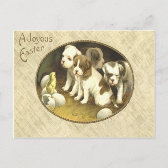 Dog Puppy Easter Chick Egg Holiday Postcard (Front)