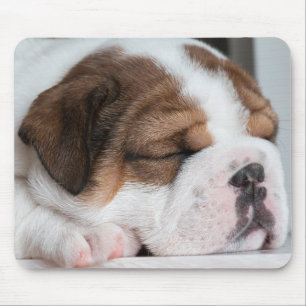 dog, puppy, pet mouse mat