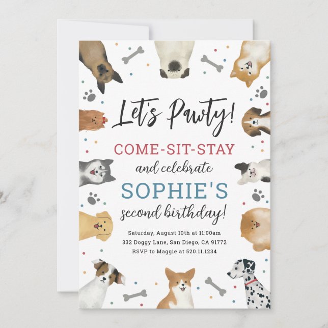 Dog Puppy Pet Pawty Birthday Party Invitation (Front)