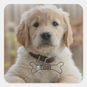 DOG PUPPY PHOTO NAME BONE BEST DOG MOM DAD TRENDY SQUARE STICKER