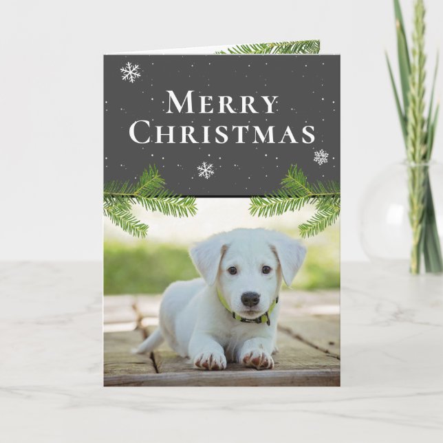 Dog Puppy Photo Pine Snowflakes Merry Christmas Holiday Card (Front)