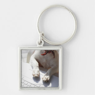 Dog putting his hands on a laptop key ring