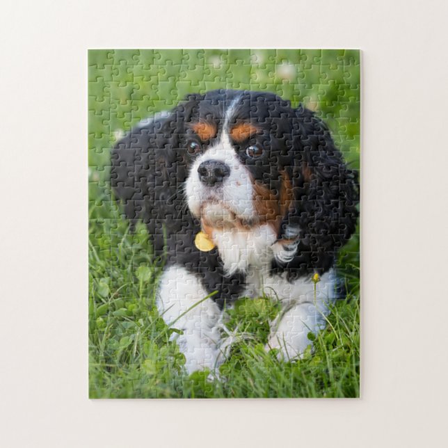 Dog Puzzles Animal Pic Cute Sad Puppy Puppy Photog (Vertical)