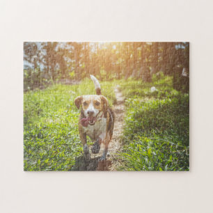 Dog Puzzles Animal Pic Cute Sad Puppy Puppy Photog