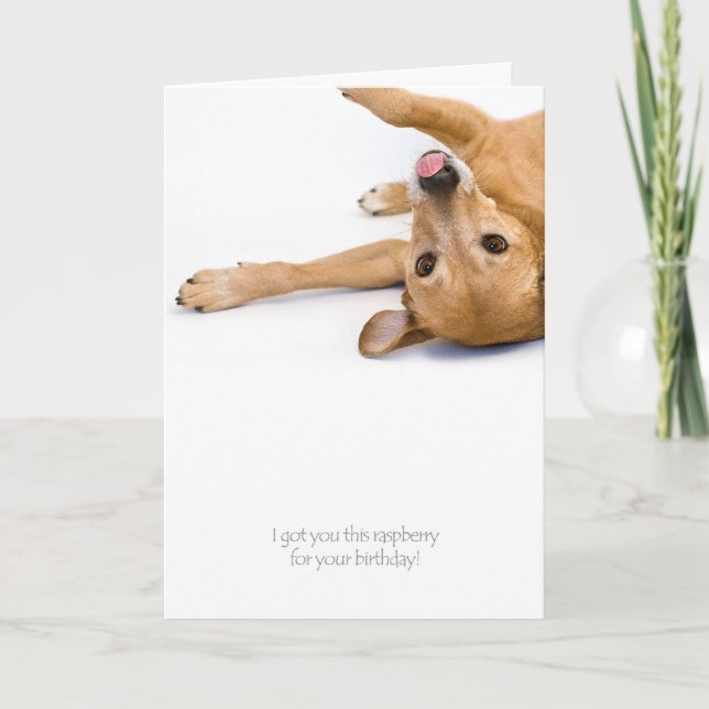 Dog Rasberry Card (Front)
