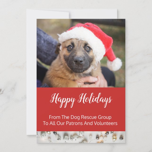 Dog Rescue Group Holiday Business (Front)
