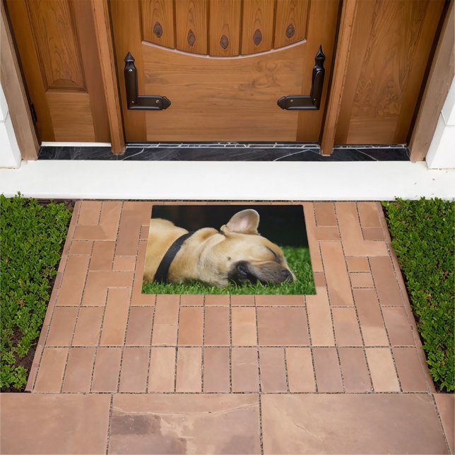 Dog rug for home (Outdoor)