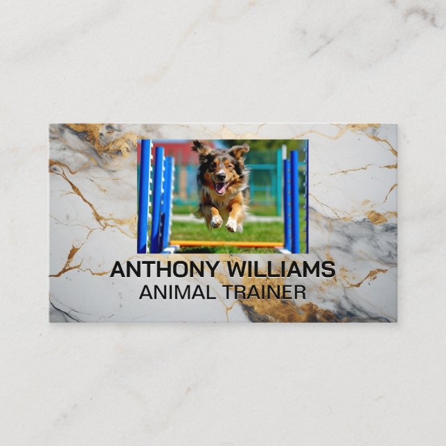 Dog Running at Park Business Card (Front)