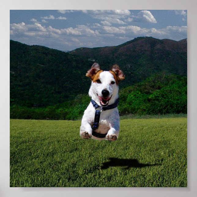 Dog Running Free - Add Your Own Text Poster (Front)