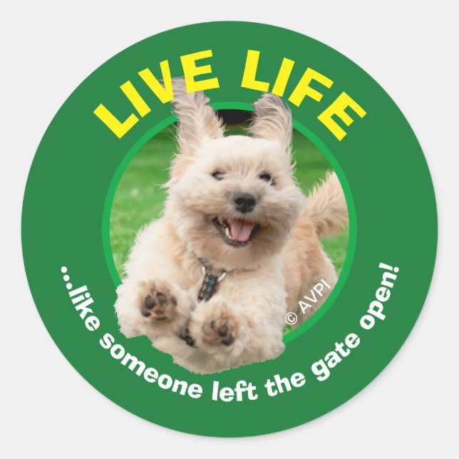 Dog Running In Yard Classic Round Sticker (Front)